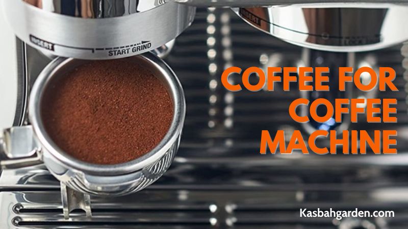 Exploring the Top 10 Brands Coffee for Coffee Machine
