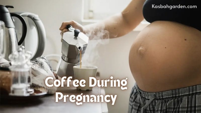 Coffee During Pregnancy: Navigating Caffeine Consumption for Expecting Mothers